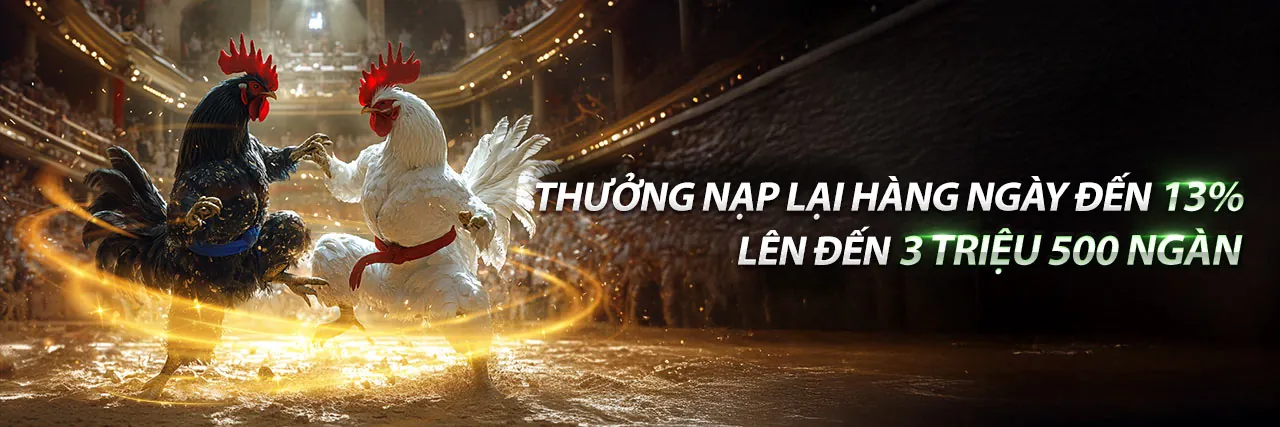 Ứng dụng bin88 trên điện thoại